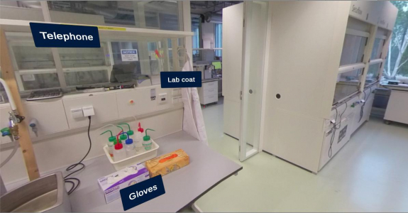 Lab Safety: VR for critical decision making